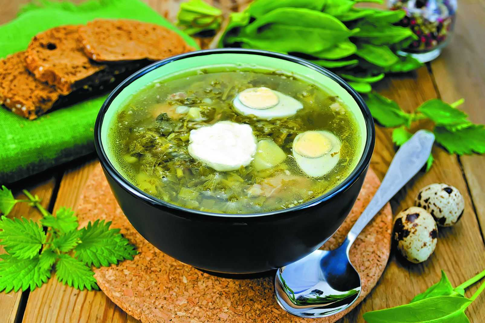 Зеленый суп, вкусных рецептов с фото Алимеро